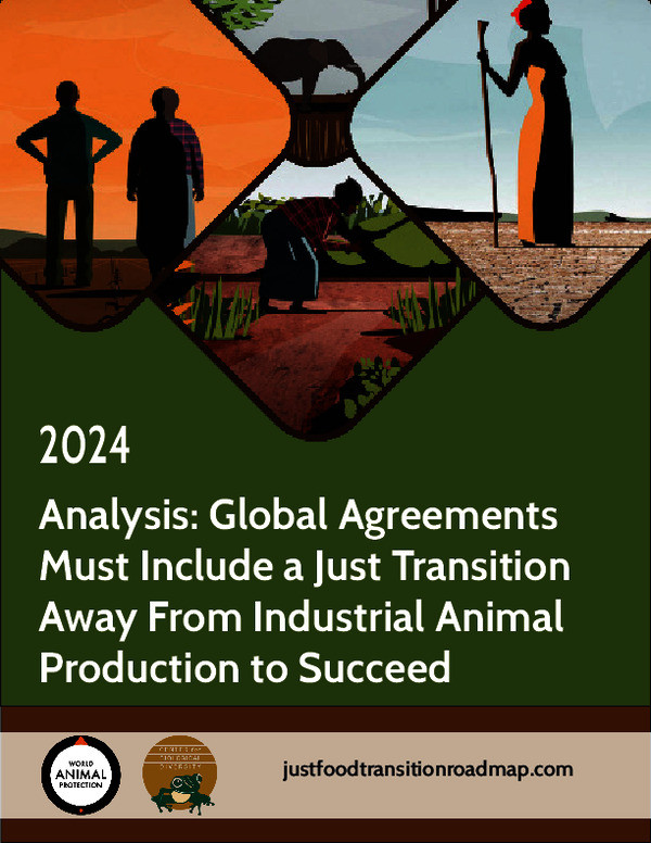 COP 29 Fails to Address Food System Emissions, Country NDCs Still Have Opportunity