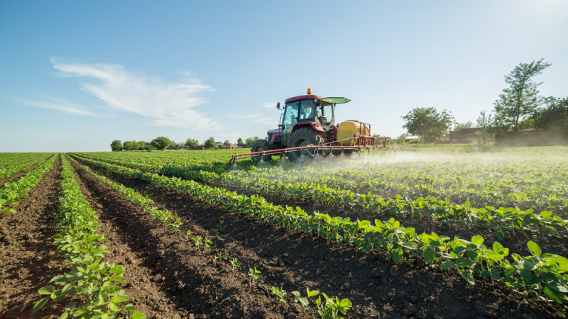 Court Ruling Holds 2020 Regulations Exempting Most GE Crops from Oversight Contradicted the Agency's Own Prior Conclusions and Are Unsupp...