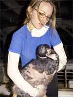 foie gras activist with goose