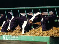 Did you know the UC gets a cut every time Monsanto sells a dose of bovine growth hormone?