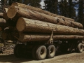 California Cap and Trade Program May Incentivize Forest Clearcutting