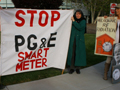 Stop Smart Meters! Disrupts FCC Talk in Silicon Valley