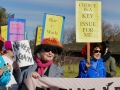 Roe v. Wade Anniversary Inspiration for Pro-Choice Rally, Flash Mob and Protest