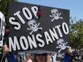 In Four Bay Area Cities, Protests Part of World Wide Demonstration Against Monsanto