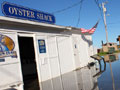 Drakes Bay Oyster Company Seeks to Privatize Point Reyes National Seashore