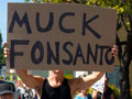 March Against Monsanto in Santa Cruz