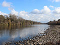 Steelhead Suffer From Emptying of Northern California Reservoirs