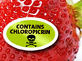 California's New “Recommended Restrictions” for Chloropicrin Are Inadequate